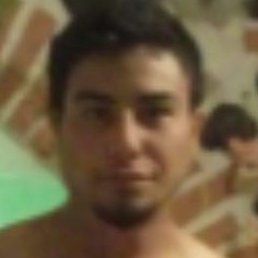 Gera, ���������, 31 ���