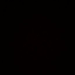 ����, �����������, 35 ���