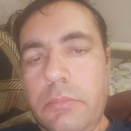 Amir, ������, 43 ����