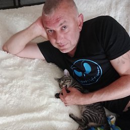 �������, ������, 42 ����