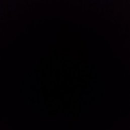 ������, ������, 31 ���