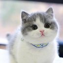 ���� ������, ������, 49 ��� - ��������� 27 ��� 2023