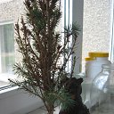 ���� ����, �����, 71 ��� - ��������� 18 ���� 2023 � ������ ���� ����������