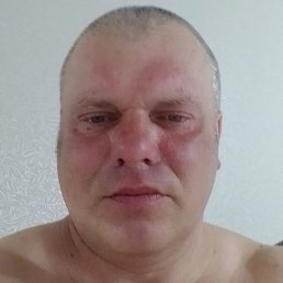 �����, �������������, 46 ���