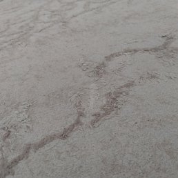 ���� �����, ������, 56 ��� - ��������� 18 ������ 2023