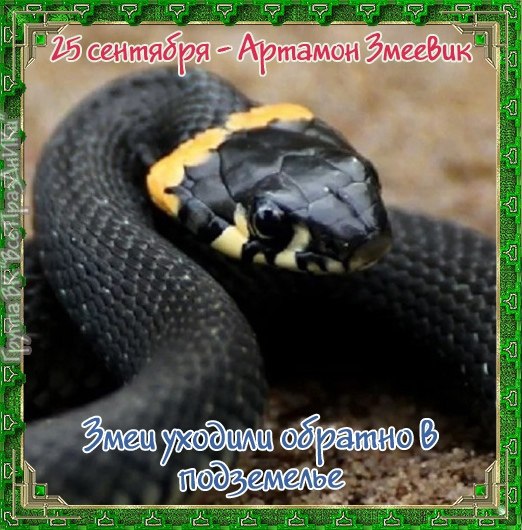 Именины: Афанасий, Даниил, Юлиан, Федор, Николай, Алексей, Семен, Иван