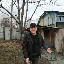 ���� ����, ������, 62 ���� - ��������� 3 ������� 2023