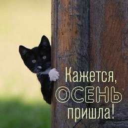 ���� �������, ������, 46 ��� - ��������� 2 �������� 2023