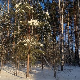 ����, ���������, 54 ����