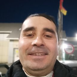 ����, ������, 46 ���