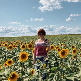 ���, ����