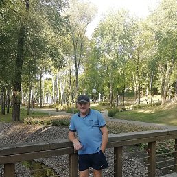 �����, �������, 48 ���