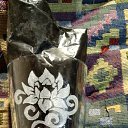 ���� ������, ����, 63 ���� - ��������� 26 ������� 2023 � ������ ���� ����������