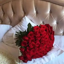 �����, ���, 37 ���