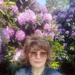 ���� ������, ���������, 54 ���� - ��������� 19 �������� 2023