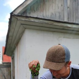 �������, �����������, 24 ����