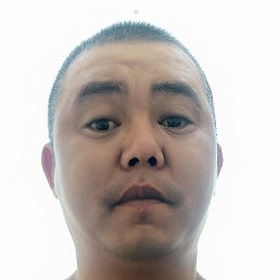 ����, ������, 41 ���