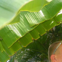 �������, ������, 29 ���