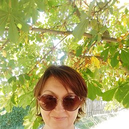 �����, ������, 51 ���