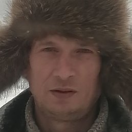 �����, ���������, 49 ���