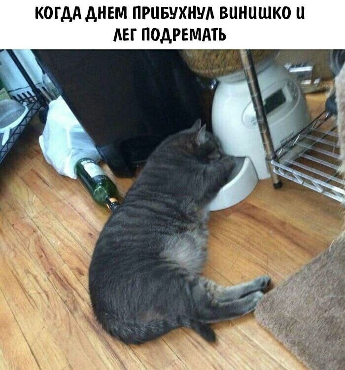 ��� �������� �������� - 7 ������� 2023 � 13:19