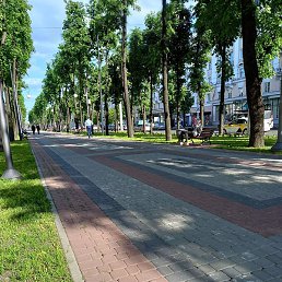 �������, �����, 49 ���