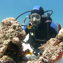  Tiger, , 72  -  28  2023   memory Hurghada