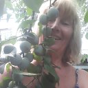 ���� �������, ������, 58 ��� - ��������� 3 �������� 2023