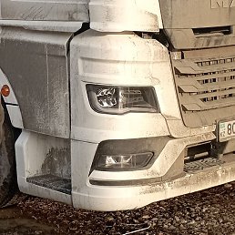 , , 54 
