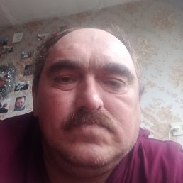 ������, �����, 51 ���