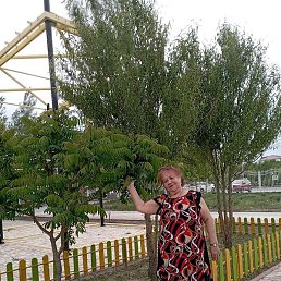 �������, ������, 64 ����