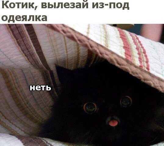    - 24  2023  18:29