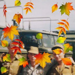 ���� �������, �������, 49 ��� - ��������� 18 ������ 2023