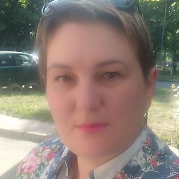 �����, ������, 41 ���