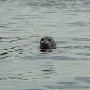 ���� ������, ������ - ��������� 22 ���� 2023 � ������ ������ ��������