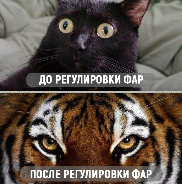 Kак-тo рaз я peшил сaмocтoятeльно отpегyлиpовать фaры cвoeй мaшины...