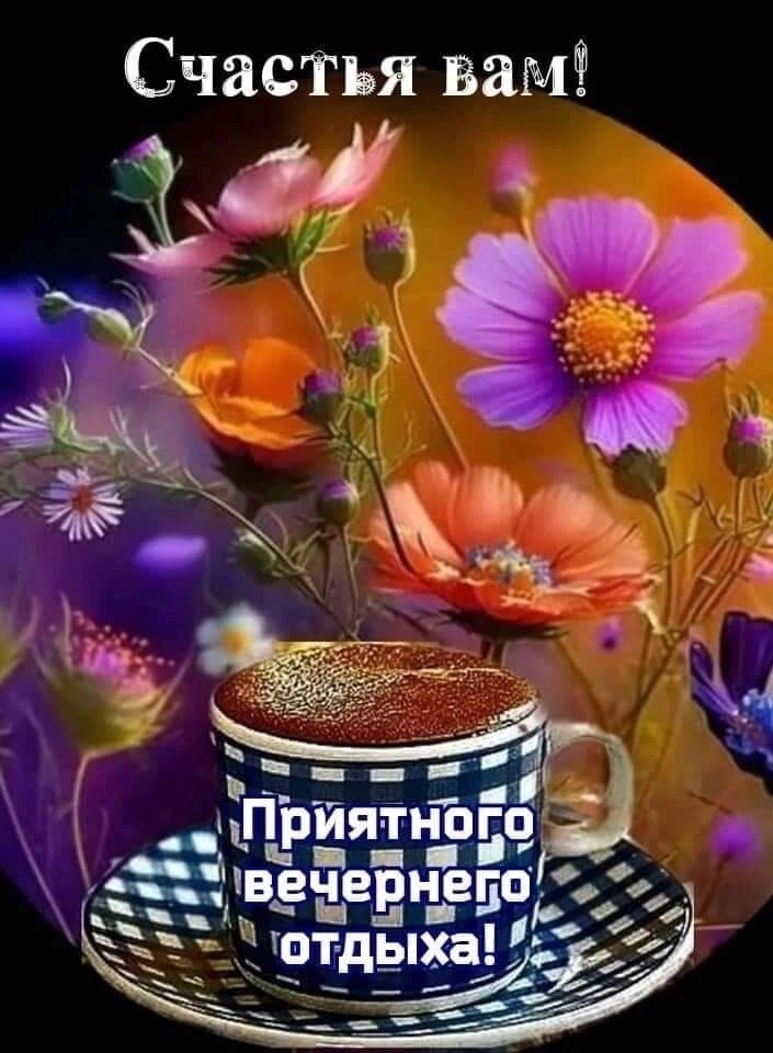   ,    . - 8  2023  15:41 - 6