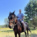 ���� ����, ������, 38 ��� - ��������� 17 ������� 2023 � ������ ���� ����������