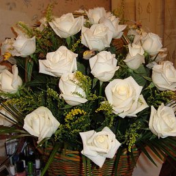 ������, ���������, 23 ����