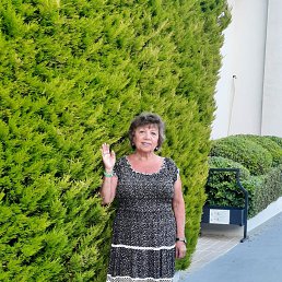 ���� �����, ������, 67 ��� - ��������� 12 ���� 2023