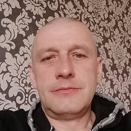 �����, ������, 49 ���