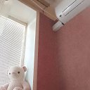 ���� ����, �����������, 46 ��� - ��������� 11 ���� 2023 � ������ ���� ����������