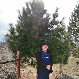 �������, ������, 52 ����