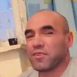 ����, ������, 43 ����