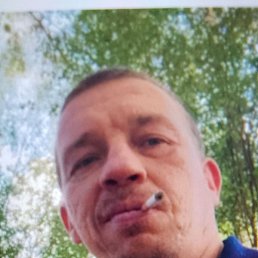 ������, ������, 44 ����