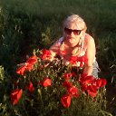 ���� ���, �����������, 55 ��� - ��������� 27 ���� 2023 � ������ ���� ����������