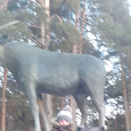 ���� ��������, ���������, 49 ��� - ��������� 3 ���� 2023