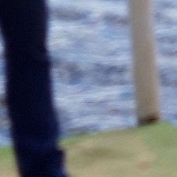 ������, �����, 32 ����