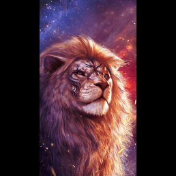 ����, �����-���������, 23 ����