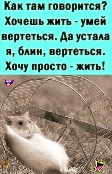 ***Victoria Viktorovna*** - 2 ������� 2023 � 04:49